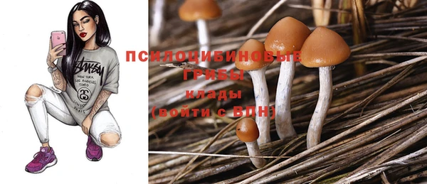 а пвп мука Арсеньев