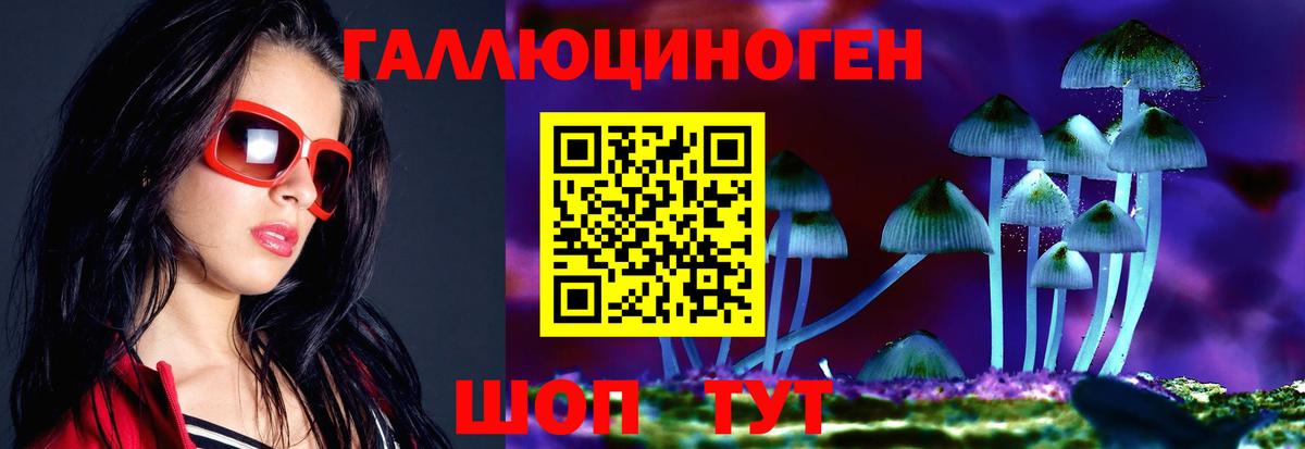 Добрянка  Галлюциногенные грибы Cubensis  Вход с VPN 
